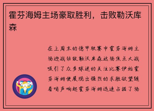 霍芬海姆主场豪取胜利，击败勒沃库森